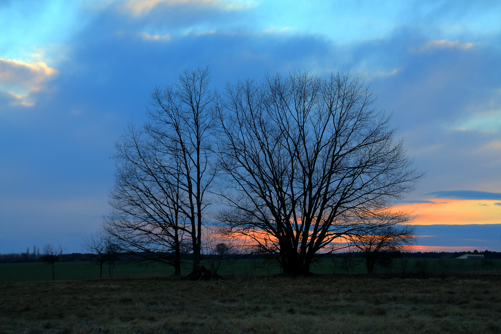 BlaueStunde