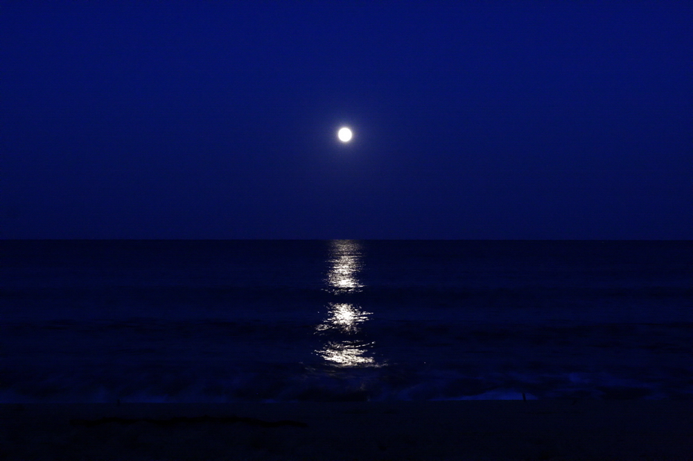 Blauestunde am Meer