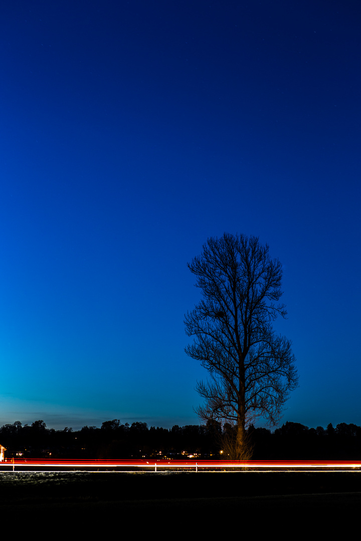 BlaueStunde im Herbst