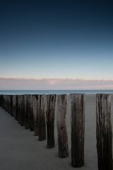 blauestundeauftexel