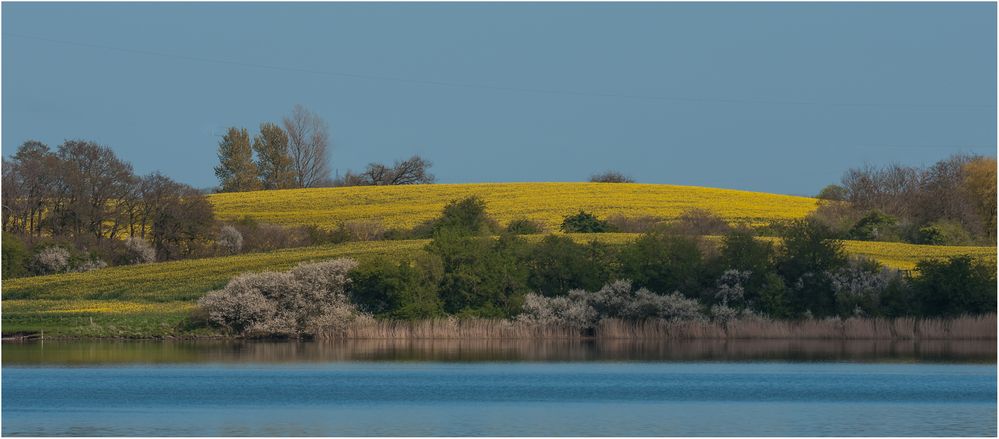 Blau,Gelb,Grün,Blau