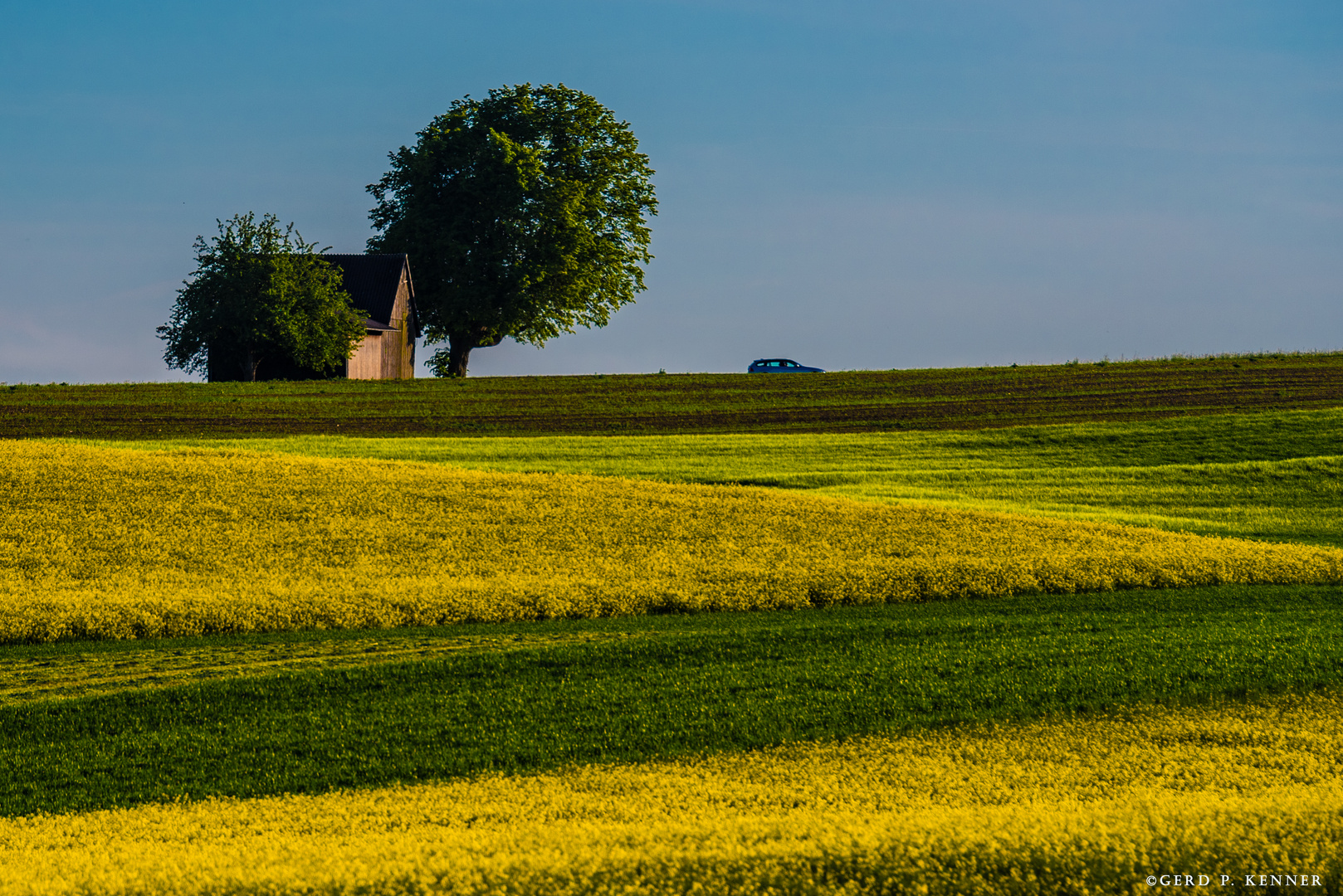 blau_gelb_grüne_FLUREN