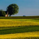 blau_gelb_grüne_FLUREN