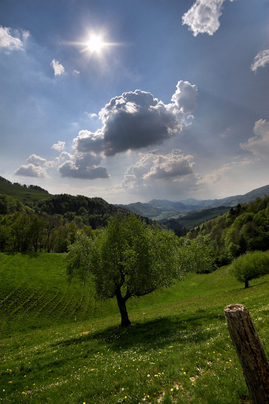 Blau/Grün