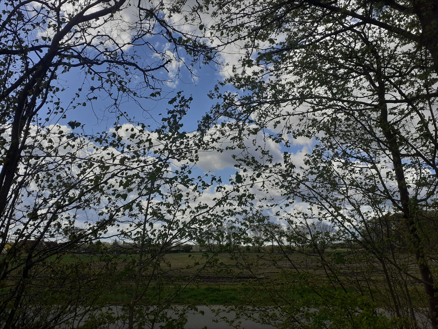 Blau&Grün