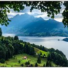 Blaugrün am Vierwaldstättersee