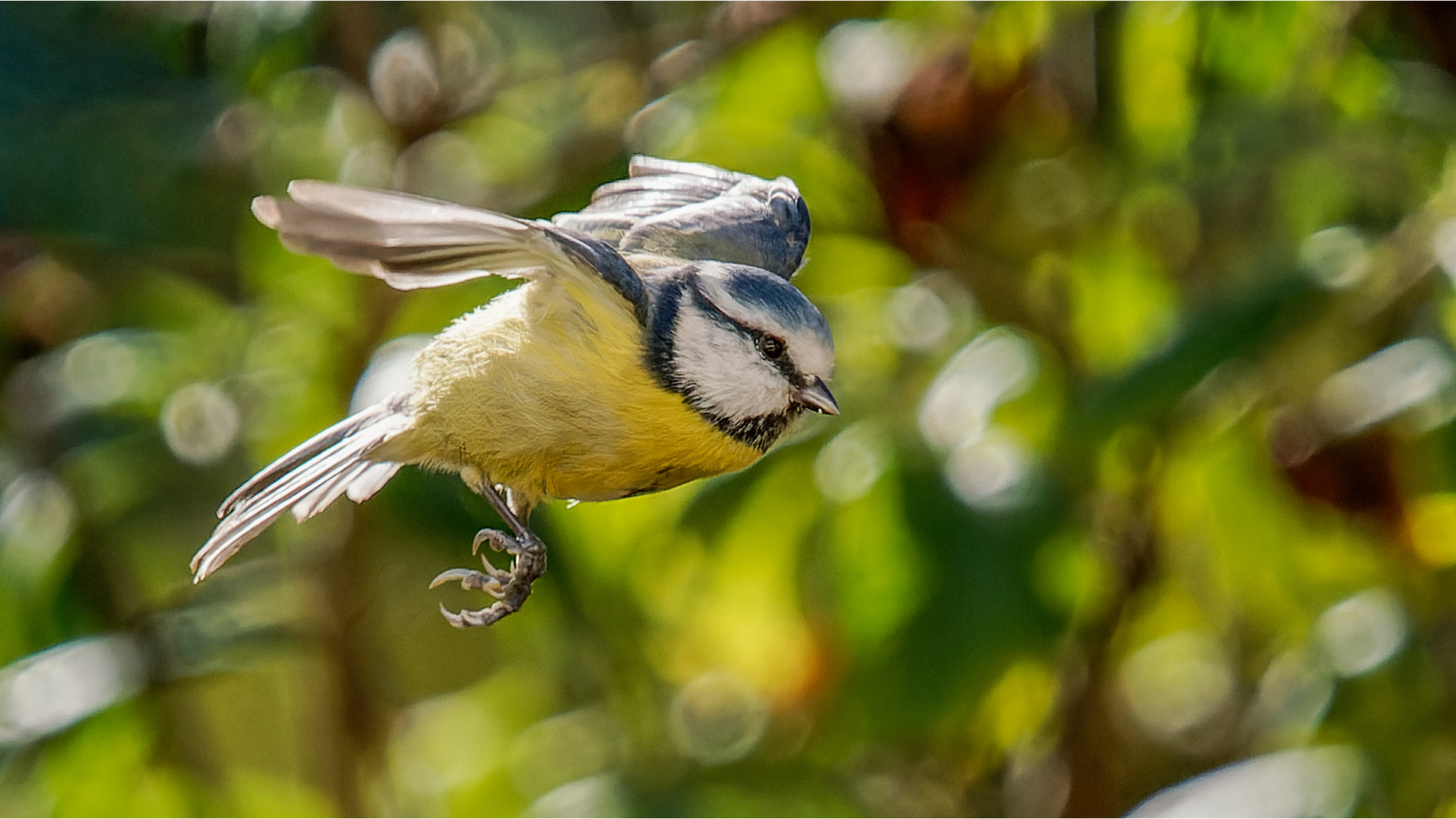 Blauhelm im Flugmodus  .....