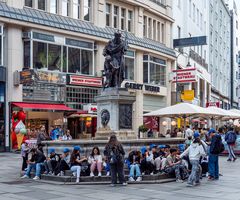 blaukappen-"invasion"...