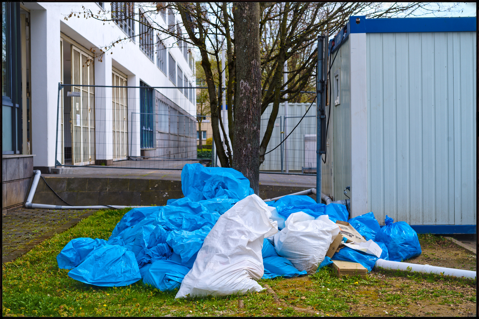 Blaumilchkanalbehörde