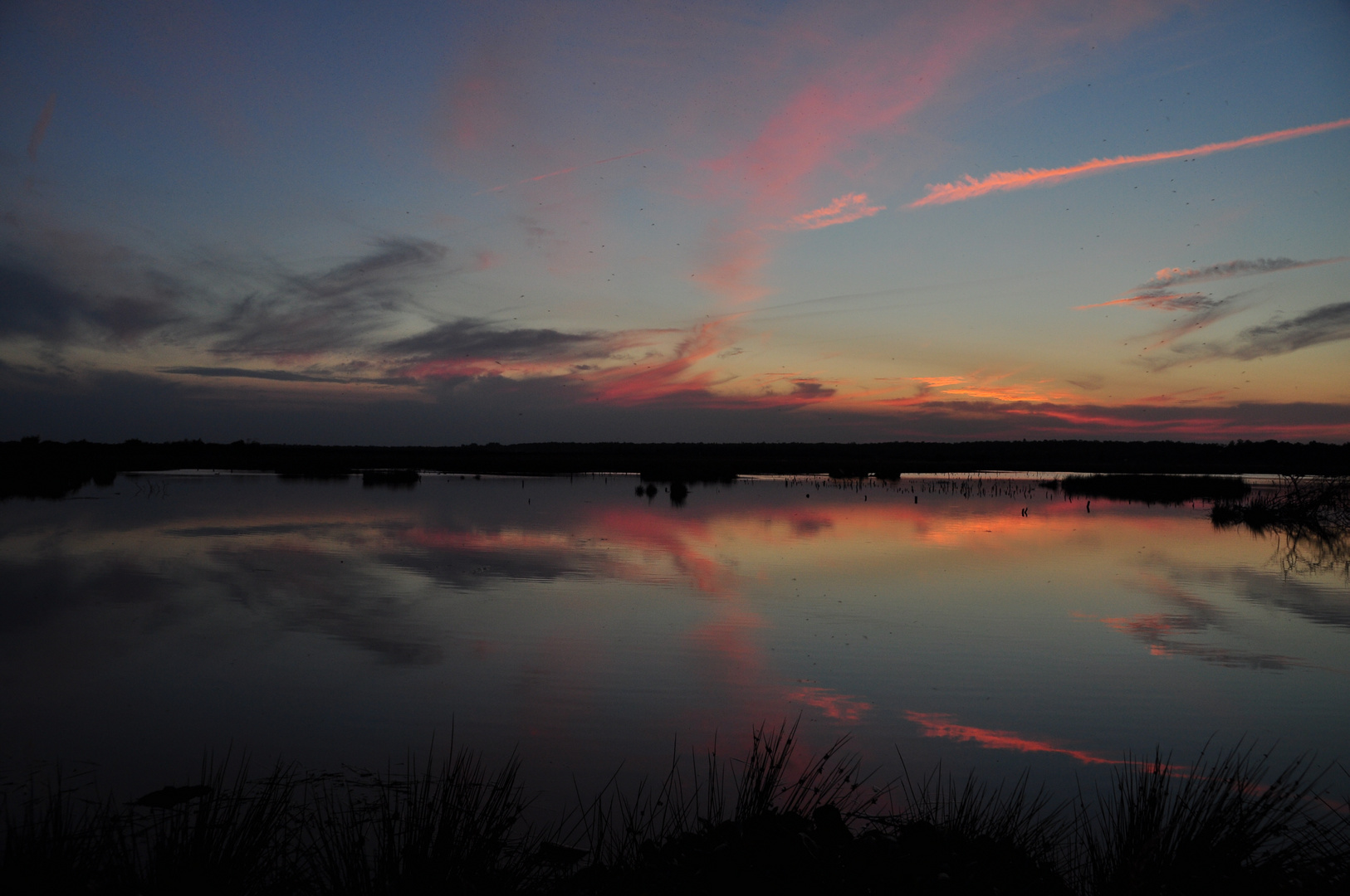 Blaurote Stunde im Himmelmoor