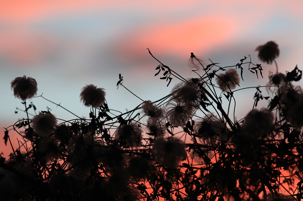 Blau.Rot.Schwarz