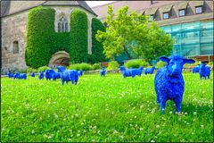 Blauschafe im Kloster Lorch