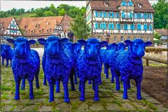 Blauschafe im Kloster Maulbronn