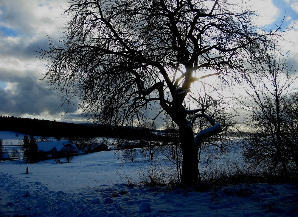 Blauschnee