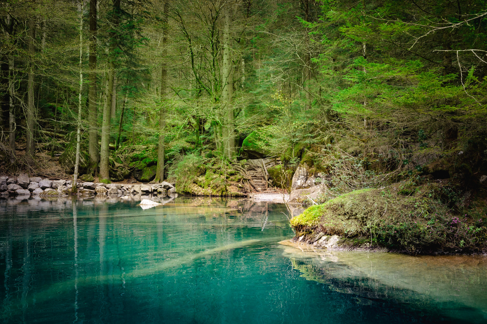 Blausee April 2023-1 Kopie