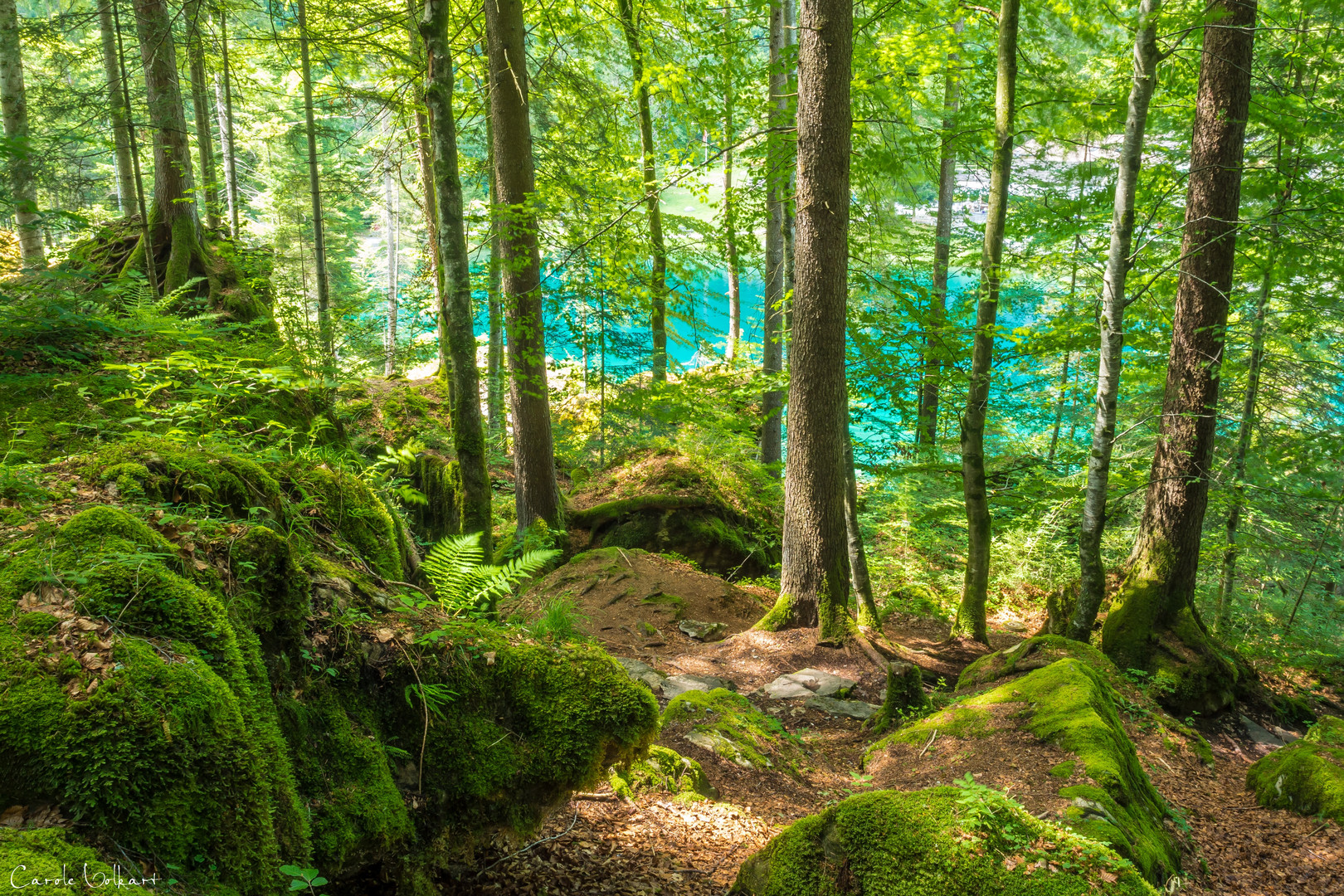 Blausee bei Kandergrund