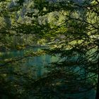 Blausee