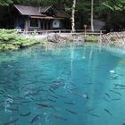 blausee