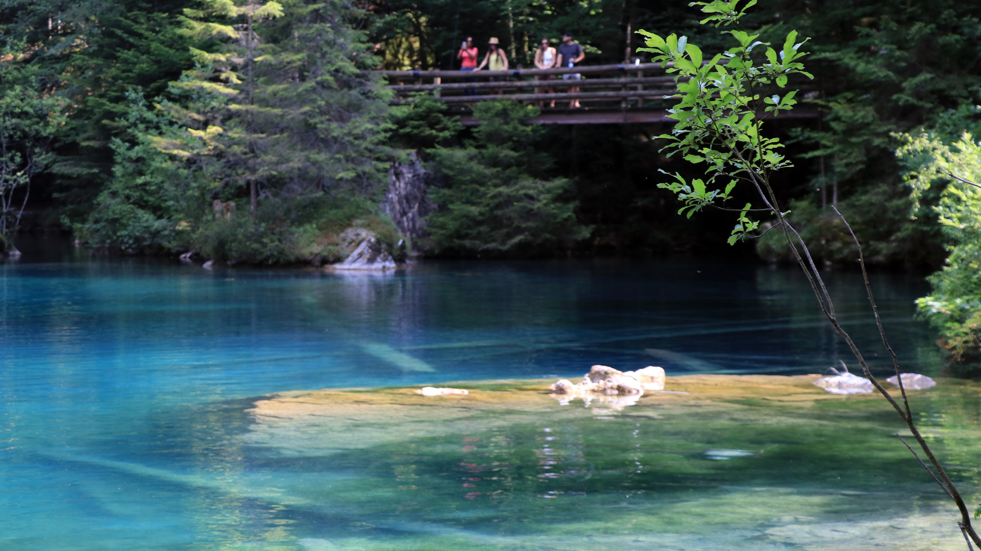 Blausee II