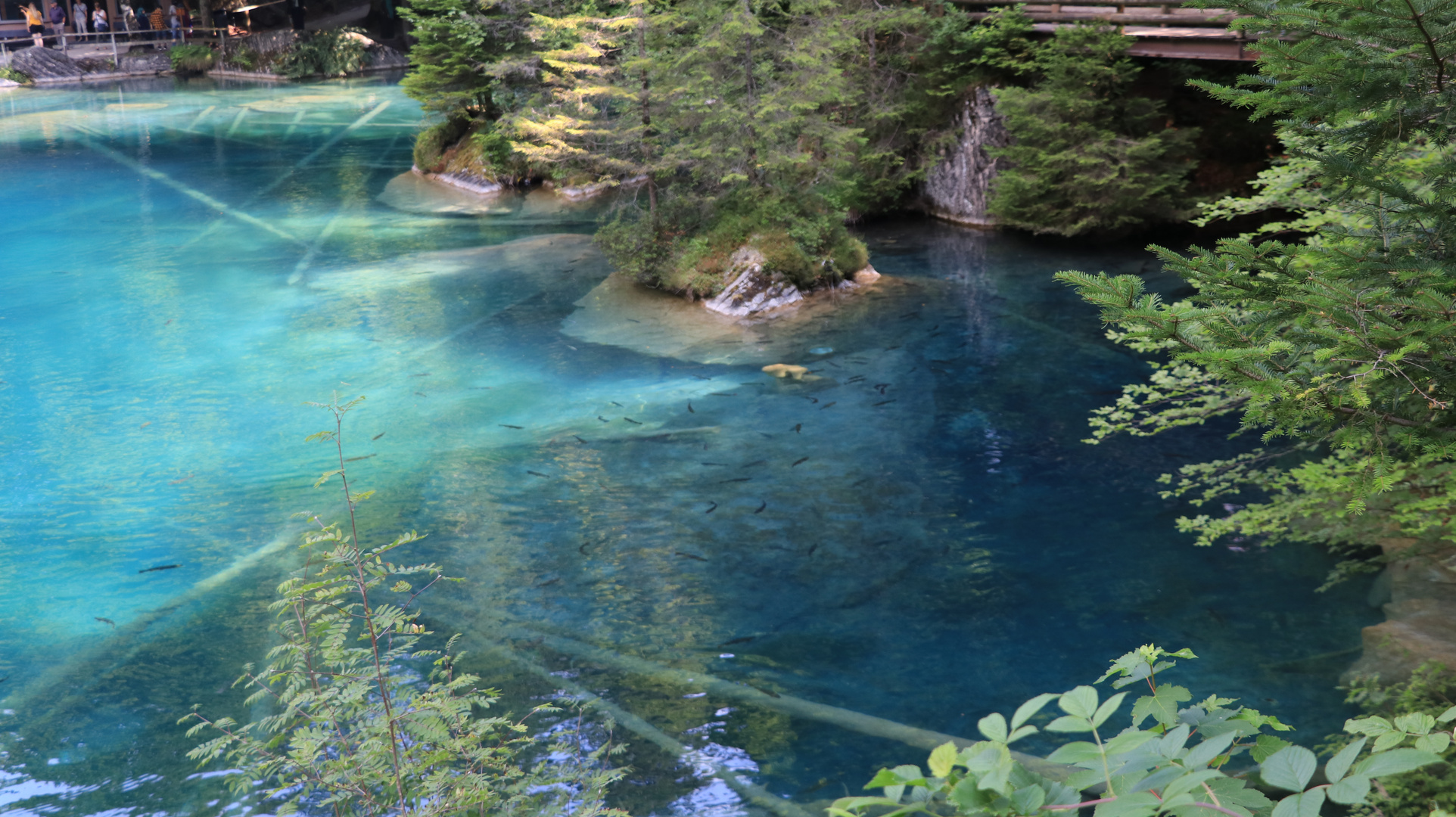 Blausee III