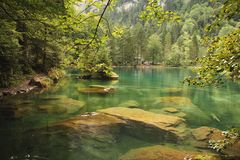 Blausee im Berner Oberland