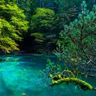 Blausee Kandersteg 