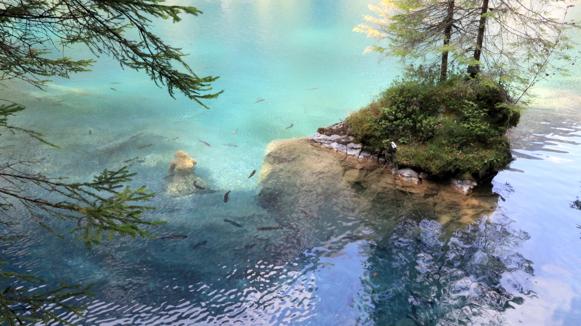 Blausee VIII