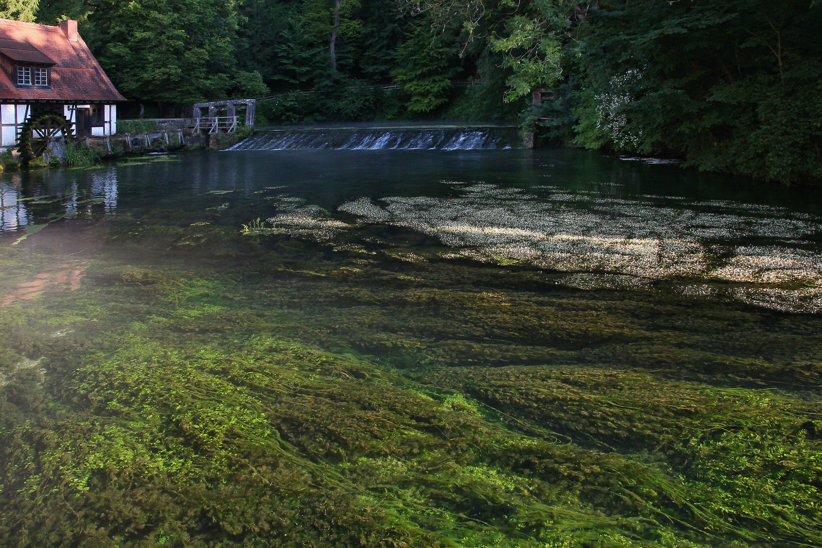 Blautopf (2015_07_02_EOS 550D_0955_ji)