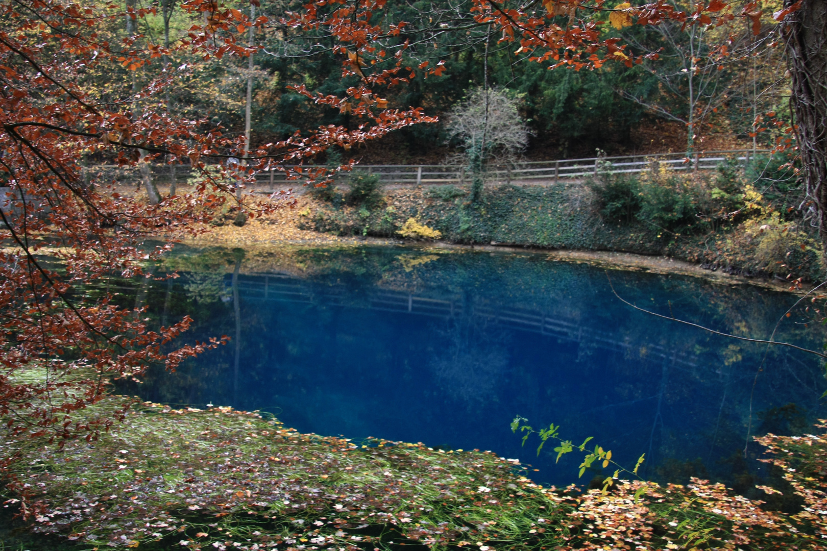 Blautopf 3