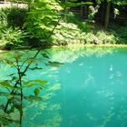 Blautopf