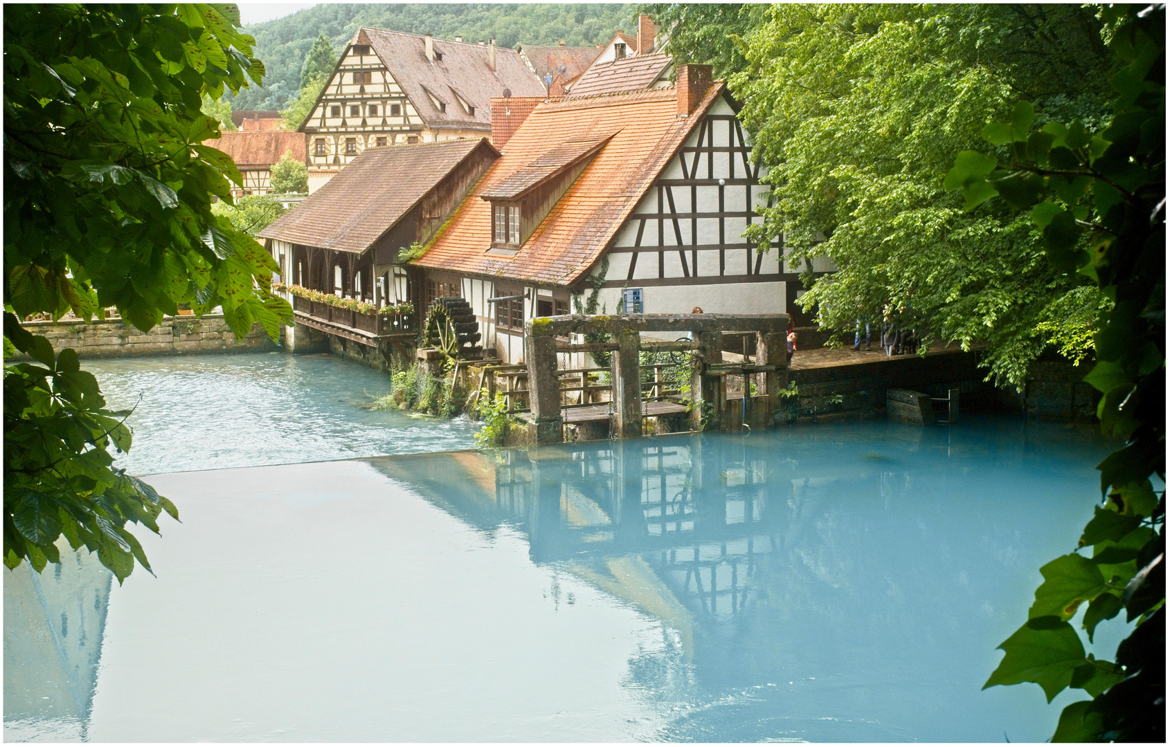 Blautopf Blaubeeren