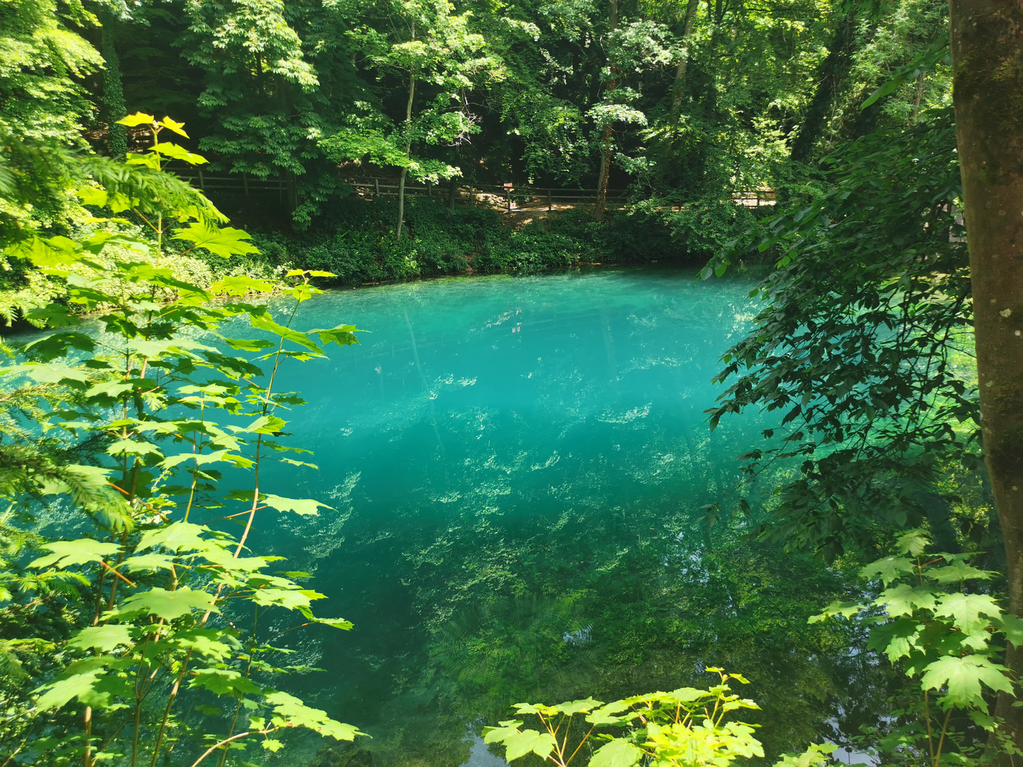 Blautopf 