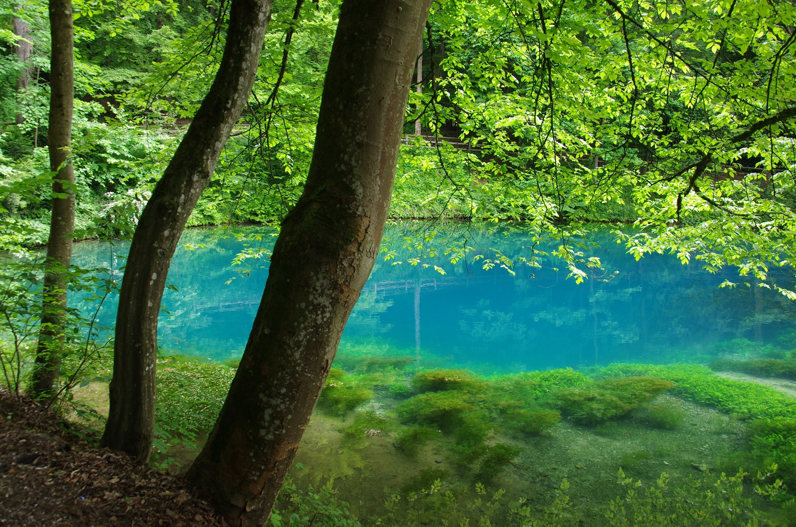 Blautopf