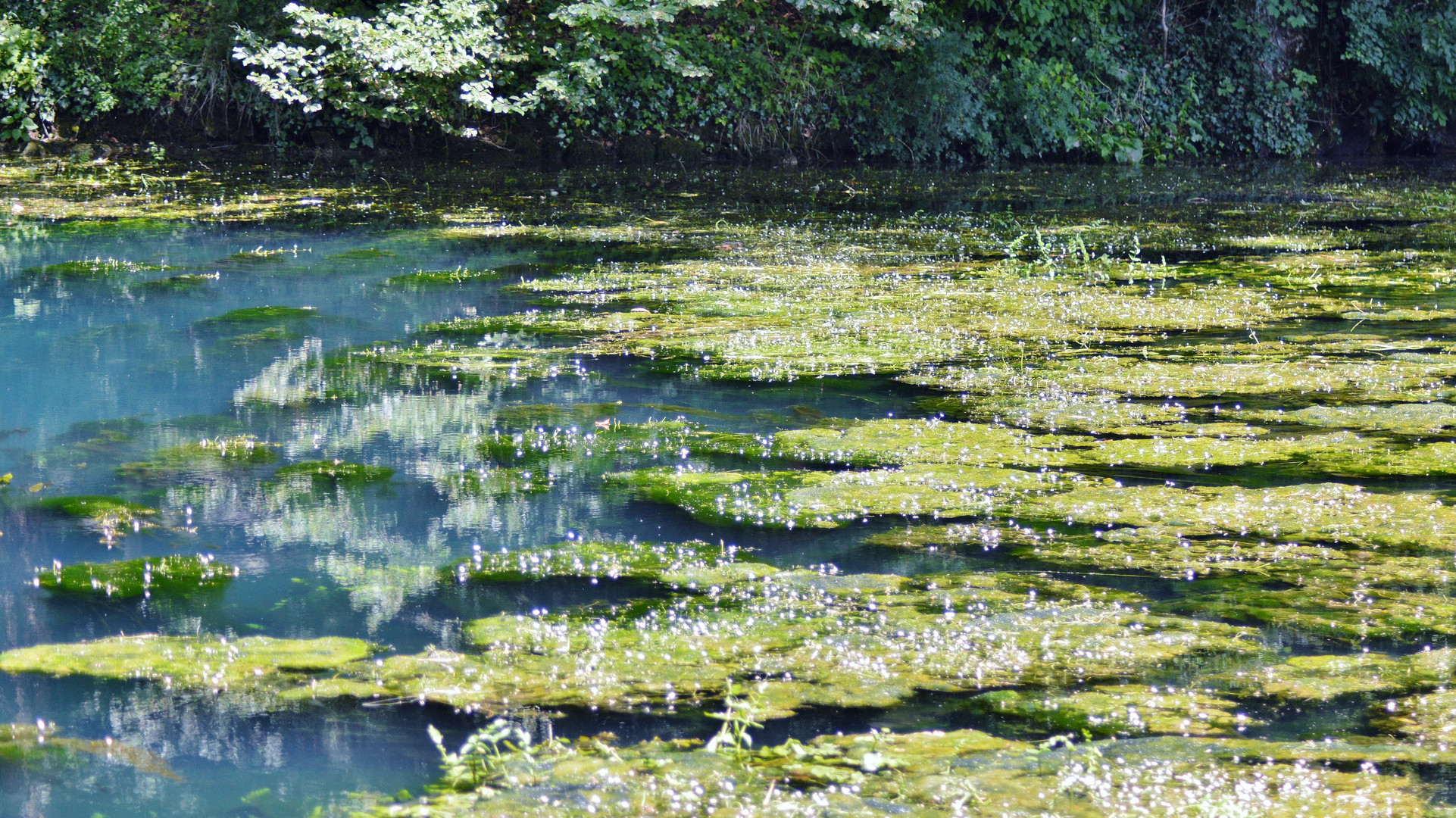 Blautopf