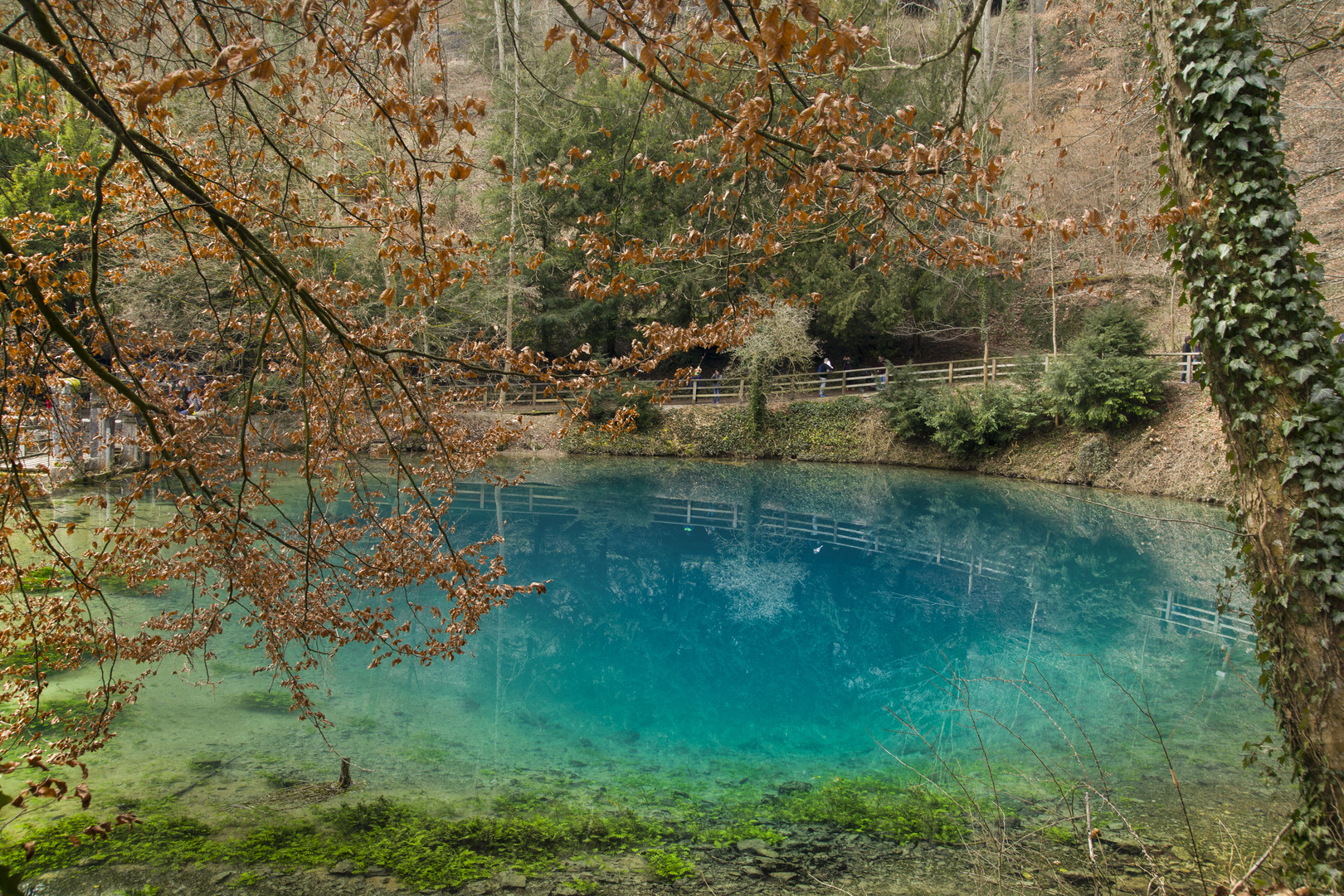 Blautopf