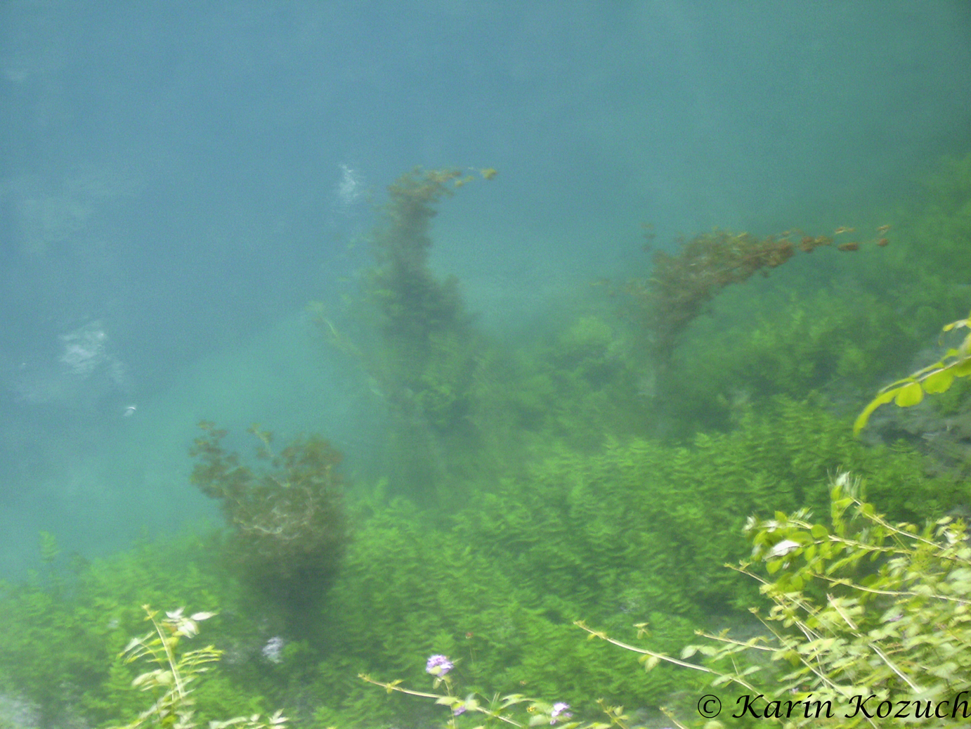 Blautopf  im Detial