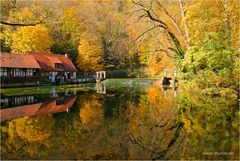 Blautopf im Herbst