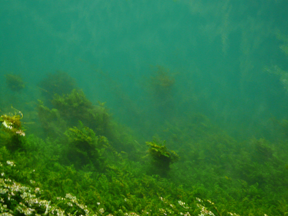 Blautopf unter Wasser ?!