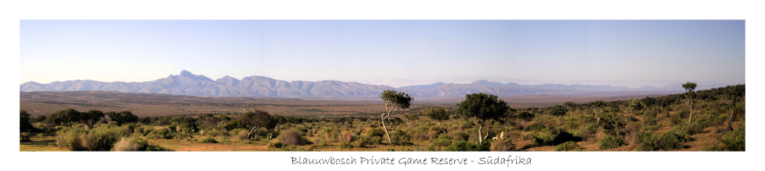Blauuwbosch Private Game Reserve / Südafrika