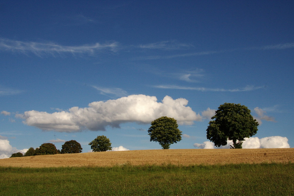 Blau,weis,grün