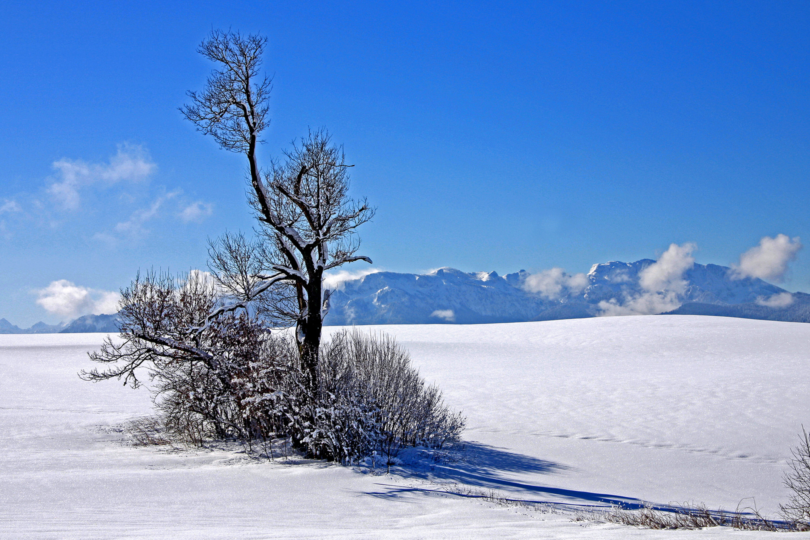 Blauweiße Winterlandschaft