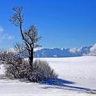 Blauweiße Winterlandschaft
