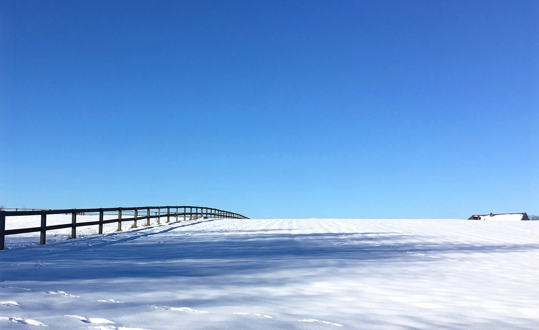 Blauweiße Winterträume