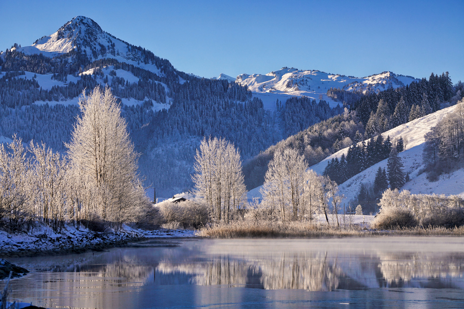 Blauweisser Traum