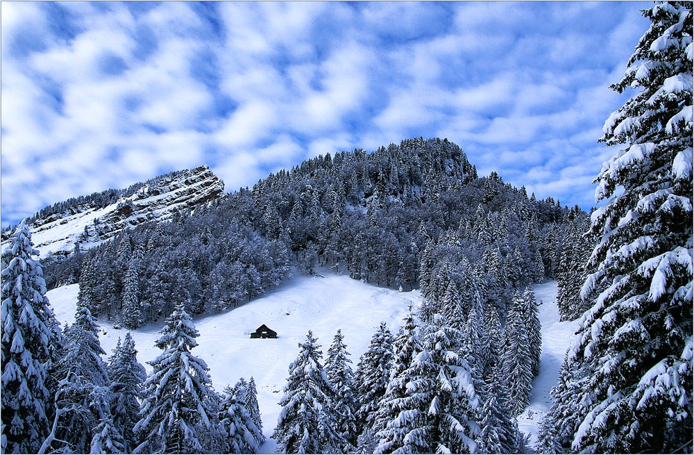 Blauweisses Wintermärchen