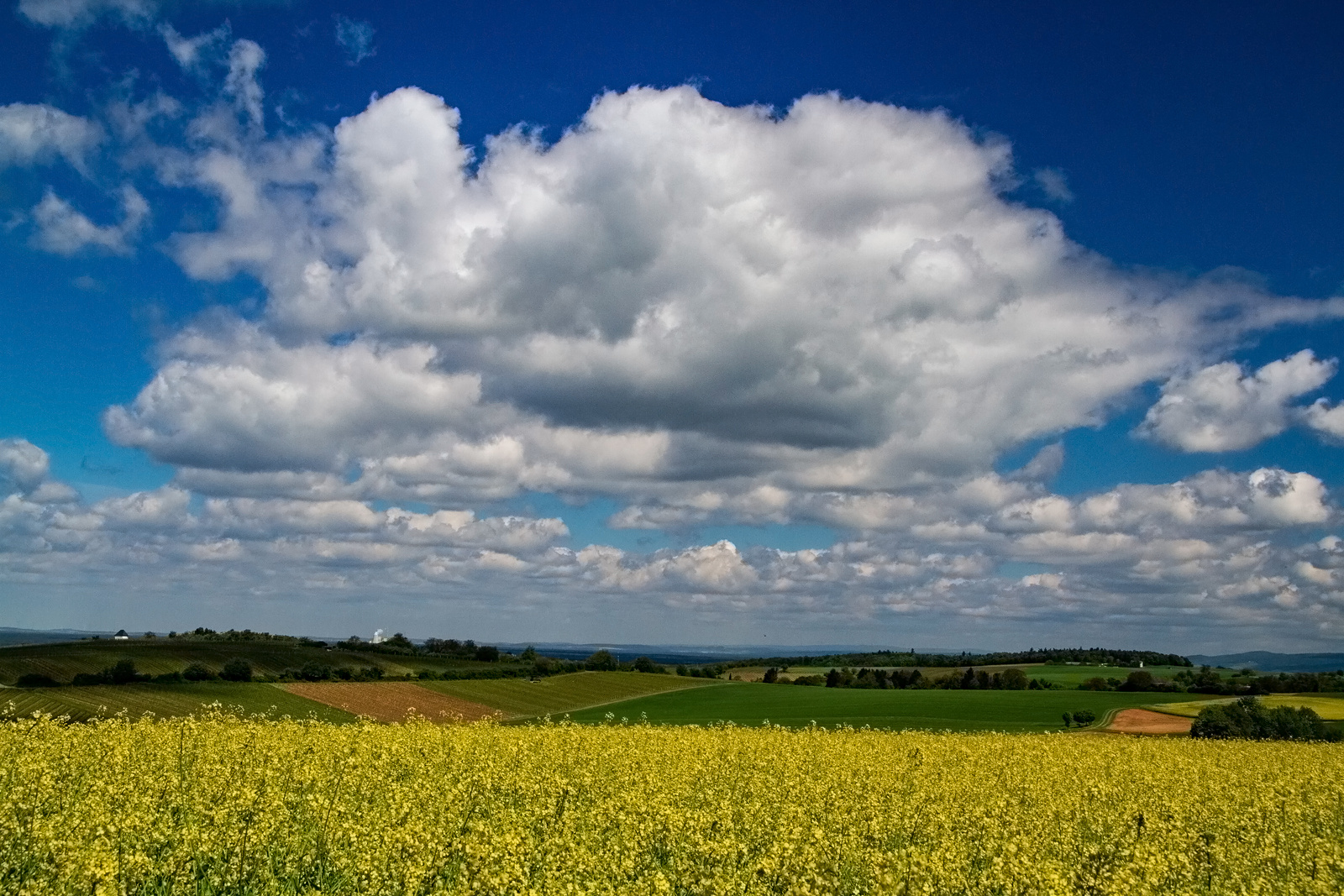 Blau/Weiß/Gelb