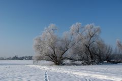 BlauWeißSchön