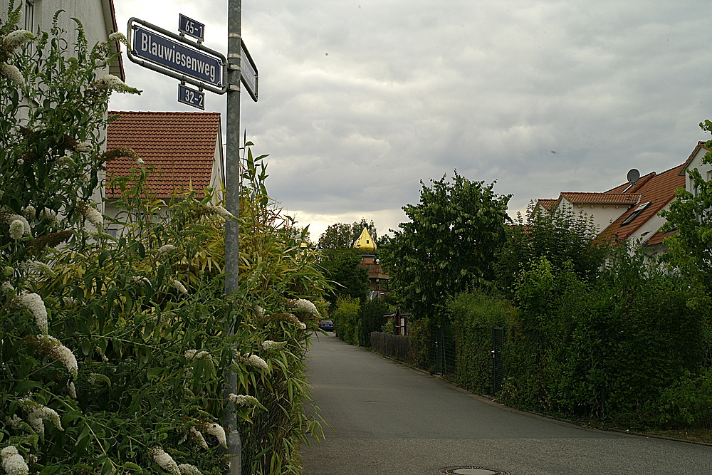 Blauwiesenweg im Grünen