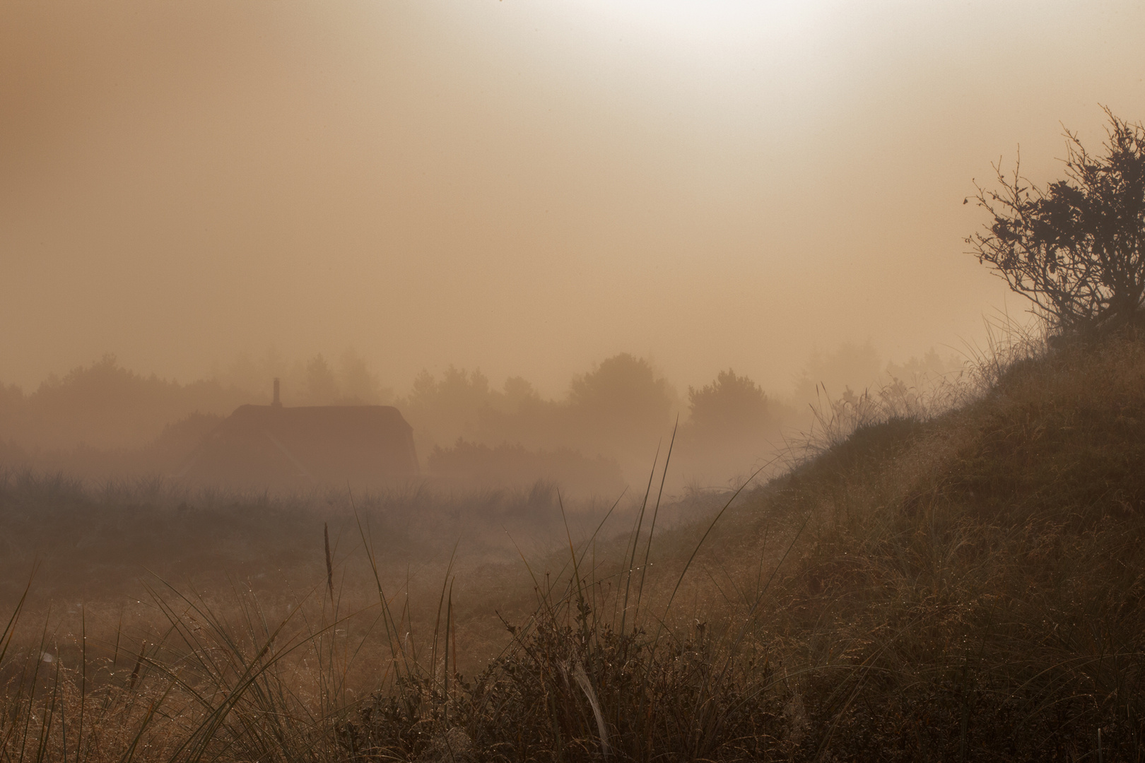 Blavand im Nebel