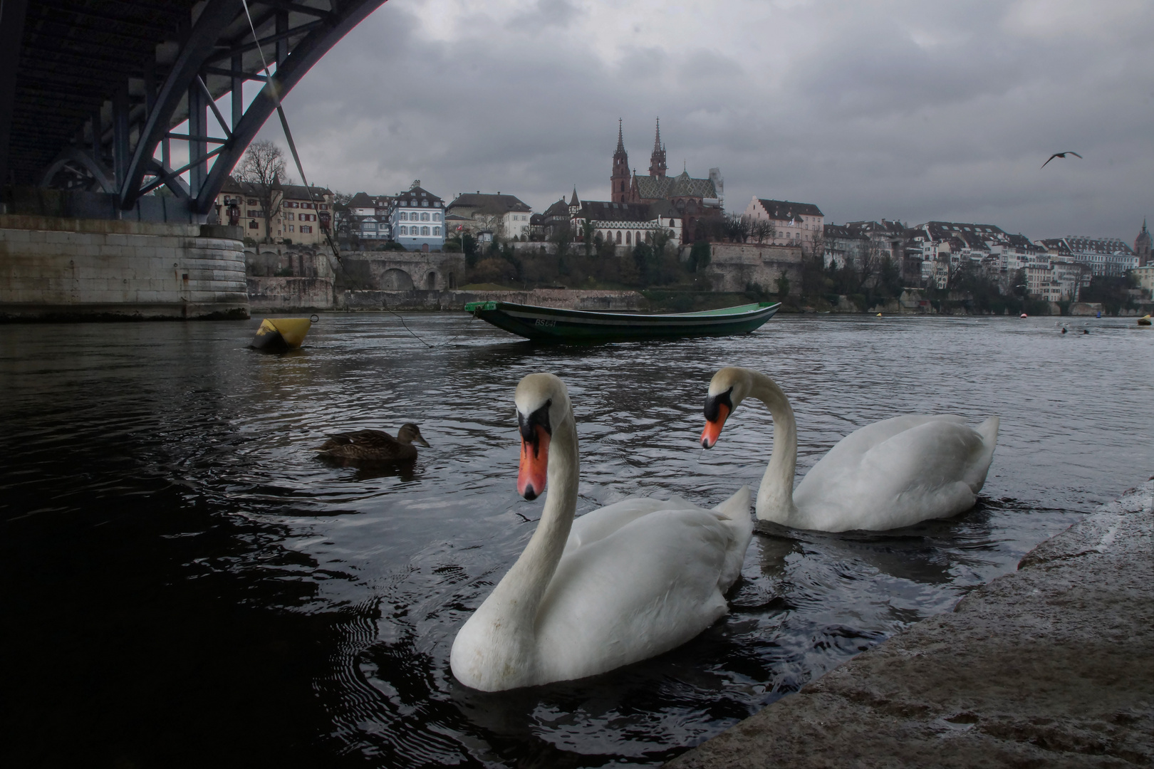 Bâle, le Rhin